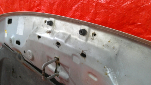 Digital Camera Digital Camera