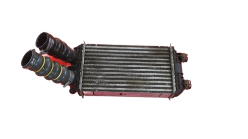 4a1fa66d55a2b52274810ce574a7c2e4