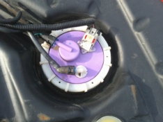 396a3c2e266ef05e889c766826305896